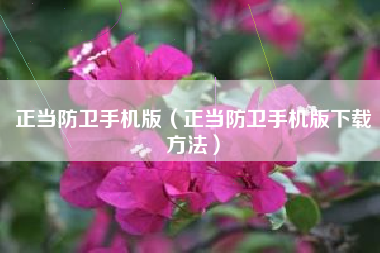 正当防卫手机版（正当防卫手机版下载方法）