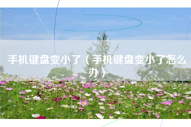 手机键盘变小了（手机键盘变小了怎么办）