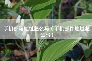 手机邮箱地址怎么写（手机邮件地址怎么写）