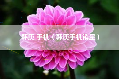 韩庚 手机（韩庚手机销量）
