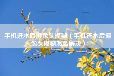 手机进水后摄像头模糊（手机进水后摄像头模糊怎么解决）
