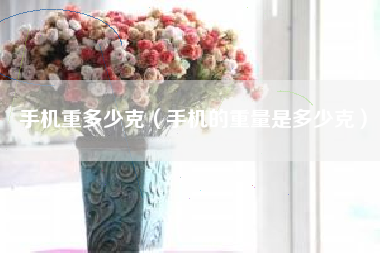 手机重多少克（手机的重量是多少克）