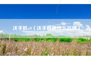 沃手机x9（沃手机是什么品牌）