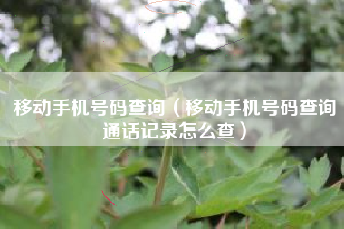 移动手机号码查询（移动手机号码查询通话记录怎么查）
