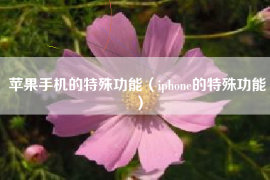 苹果手机的特殊功能（iphone的特殊功能）
