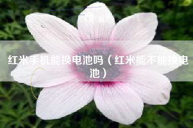 红米手机能换电池吗（红米能不能换电池）