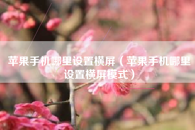 苹果手机哪里设置横屏（苹果手机哪里设置横屏模式）