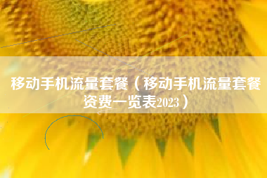 移动手机流量套餐（移动手机流量套餐资费一览表2023）