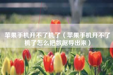 苹果手机开不了机了（苹果手机开不了机了怎么把数据导出来）