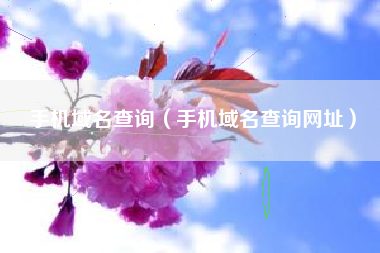 手机域名查询（手机域名查询网址）