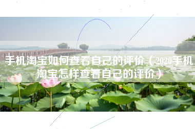 手机淘宝如何查看自己的评价（2020手机淘宝怎样查看自己的评价）