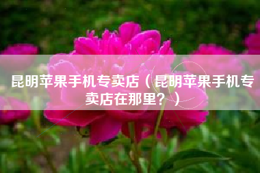 昆明苹果手机专卖店（昆明苹果手机专卖店在那里？）