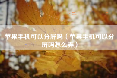 苹果手机可以分屏吗（苹果手机可以分屏吗怎么弄）