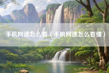 手机网速怎么看（手机网速怎么看懂）