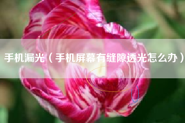 手机漏光（手机屏幕有缝隙透光怎么办）