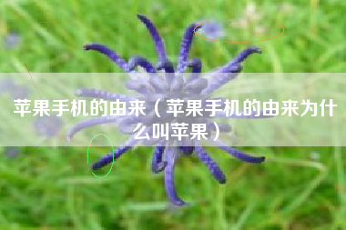苹果手机的由来（苹果手机的由来为什么叫苹果）