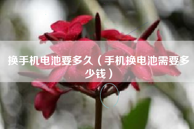 换手机电池要多久（手机换电池需要多少钱）