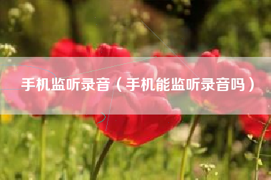 手机监听录音（手机能监听录音吗）