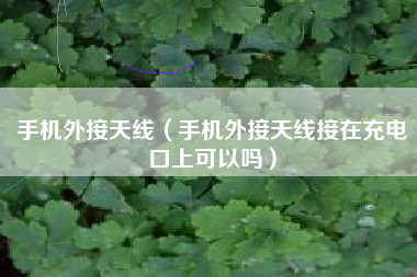 手机外接天线（手机外接天线接在充电口上可以吗）