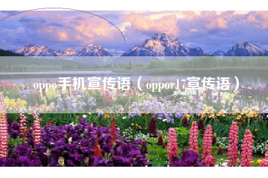 oppo手机宣传语（oppor17宣传语）