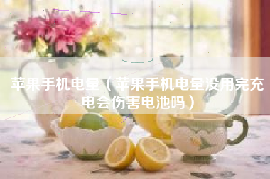 苹果手机电量（苹果手机电量没用完充电会伤害电池吗）