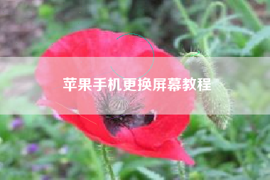 苹果手机更换屏幕教程