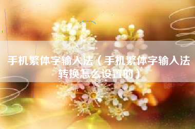 手机繁体字输入法（手机繁体字输入法转换怎么设置的）