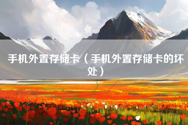 手机外置存储卡（手机外置存储卡的坏处）