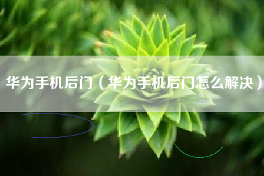 华为手机后门（华为手机后门怎么解决）