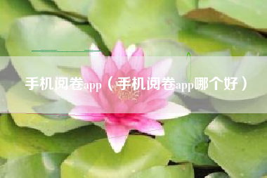 手机阅卷app（手机阅卷app哪个好）