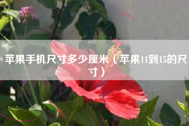 苹果手机尺寸多少厘米（苹果11到15的尺寸）