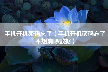 手机开机密码忘了（手机开机密码忘了不想清除数据）