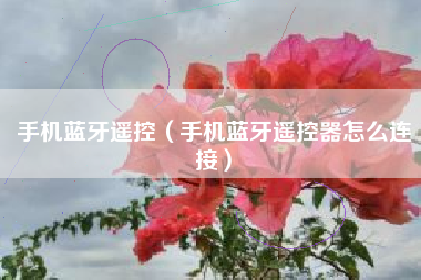 手机蓝牙遥控（手机蓝牙遥控器怎么连接）