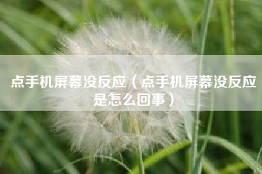 点手机屏幕没反应（点手机屏幕没反应是怎么回事）