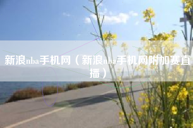 新浪nba手机网（新浪nba手机网附加赛直播）