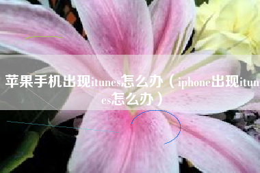 苹果手机出现itunes怎么办（iphone出现itunes怎么办）