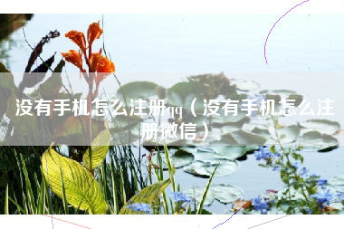 没有手机怎么注册qq（没有手机怎么注册微信）