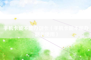 手机卡能不能办副卡（手机卡能不能办副卡使用）