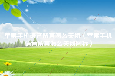 苹果手机语音留言怎么关闭（苹果手机语音留言怎么关闭图标）