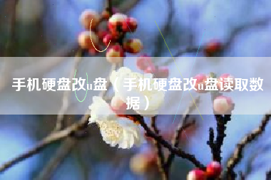 手机硬盘改u盘（手机硬盘改u盘读取数据）