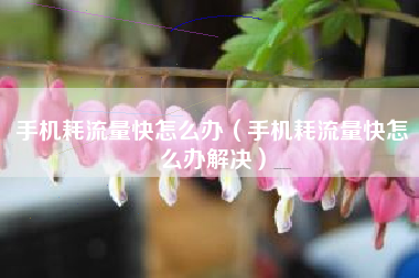 手机耗流量快怎么办（手机耗流量快怎么办解决）