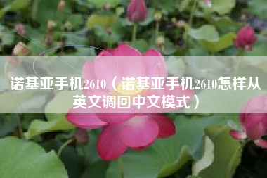诺基亚手机2610（诺基亚手机2610怎样从英文调回中文模式）