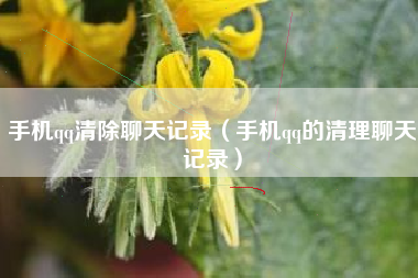 手机qq清除聊天记录（手机qq的清理聊天记录）