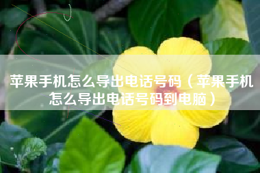 苹果手机怎么导出电话号码（苹果手机怎么导出电话号码到电脑）