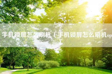 手机锁屏怎么刷机（手机锁屏怎么刷机oppo）