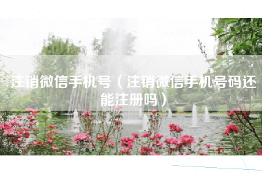 注销微信手机号（注销微信手机号码还能注册吗）