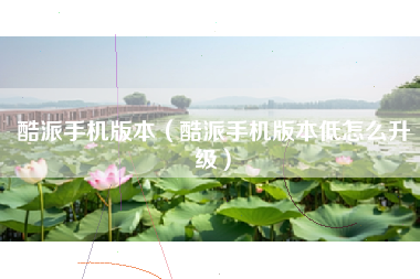 酷派手机版本（酷派手机版本低怎么升级）