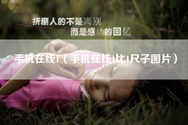 手机在线1（手机在线1比1尺子图片）