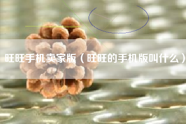 旺旺手机卖家版（旺旺的手机版叫什么）
