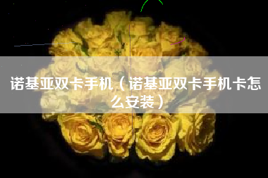 诺基亚双卡手机（诺基亚双卡手机卡怎么安装）